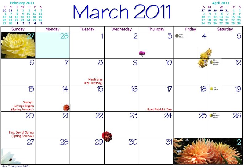 07 Mar Dates.jpg